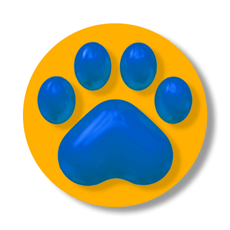 Pet - Loja Forsch